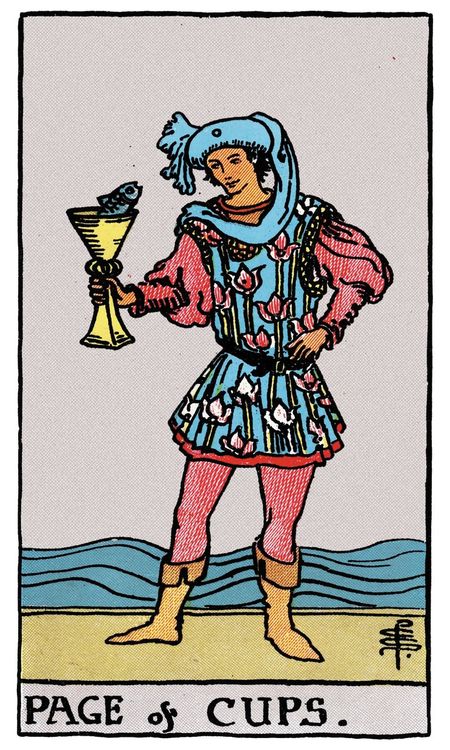 ไพ่ Page of Cups (มหาดเล็ก (Page)แห่งถ้วย)