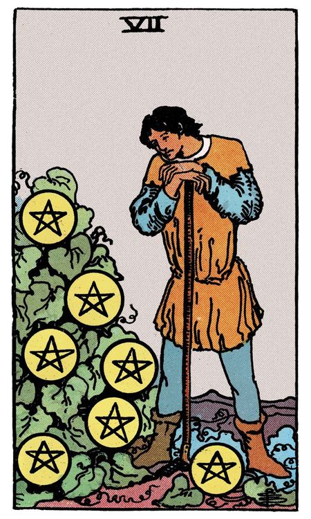 ไพ่ Seven of Pentacles (เจ็ด (7)แห่งเหรียญ)