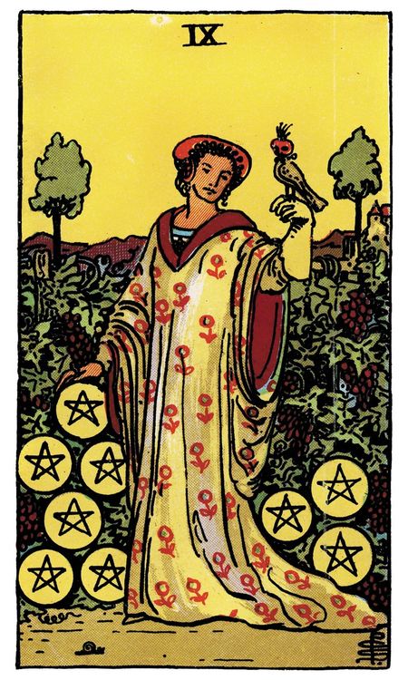 ไพ่ Nine of Pentacles (เก้า (9)แห่งเหรียญ)