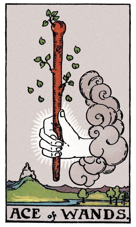 ไพ่ Ace of Wands (เอซ (1)แห่งไม้เท้า)