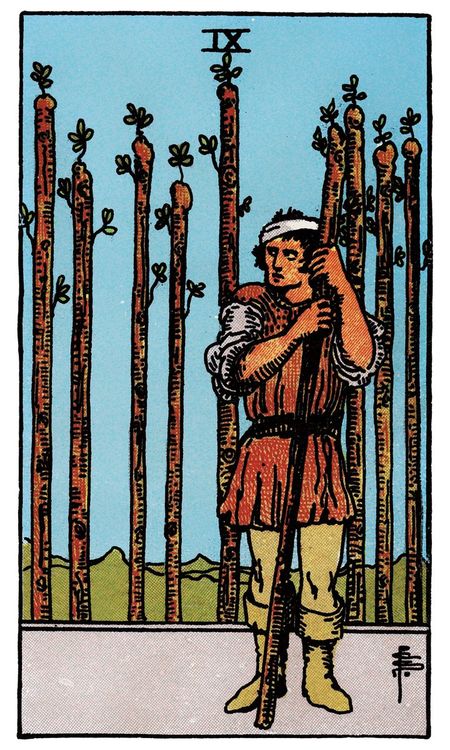 ไพ่ Nine of Wands (เก้า (9)แห่งไม้เท้า)